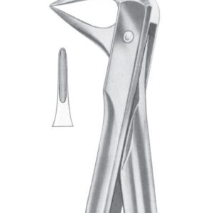 Fig. 74XN lower roots and crowded incisors