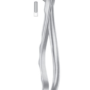 Fig. 75 lower premolars