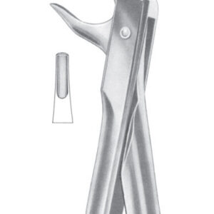 Fig. 81 lower premolars and roots
