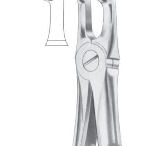 Fig. 76A lower third molars