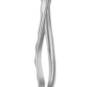 Fig. 86A lower molars