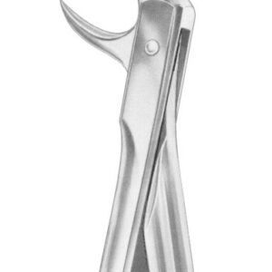 Fig. 86B lower molars