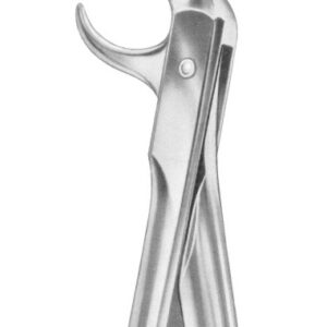 Fig. 86C lower molars