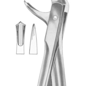 Fig. 99 lower molars