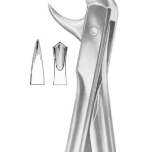 Fig. 99 1/4 lower molars