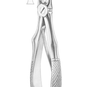 KLEIN (Fig. 217) upper incisors