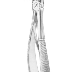 KLEIN (Fig. 218) upper premolars