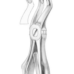 KLEIN (Fig. 220) upper molars