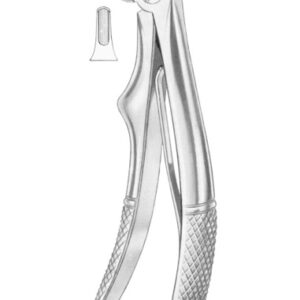 KLEIN (Fig. 221) lower incisors
