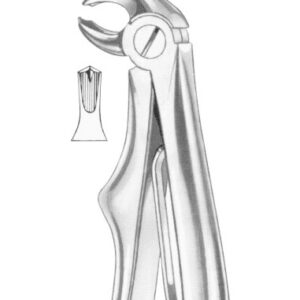 KLEIN (Fig. 222) lower molars