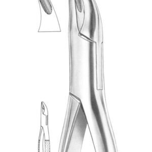 Fig. 2 upper and lower roots