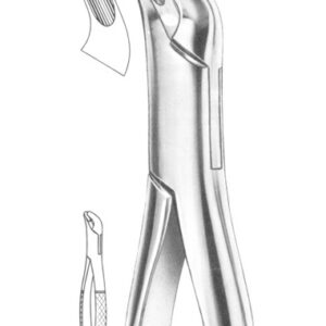 Fig. 4 upper and lower premolars