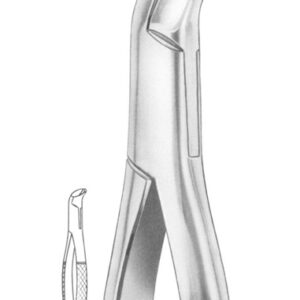PHYSICK Fig. 5 lower third molars