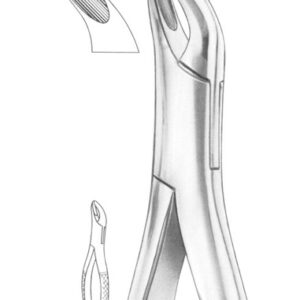 Fig. 8 upper and lower third molars