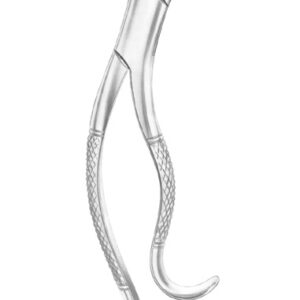 Fig. 16 lower molars