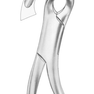 HARRIS Fig. 15 lower molars