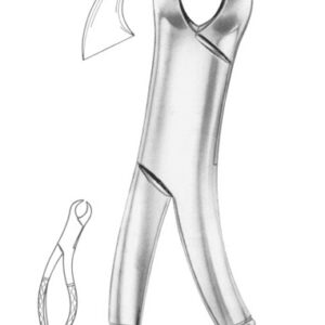 Fig. 16S lower molars for children1236 Fig. 16S lower molars for children