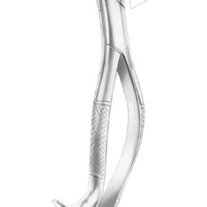 HARRIS Fig. 18R upper molars right