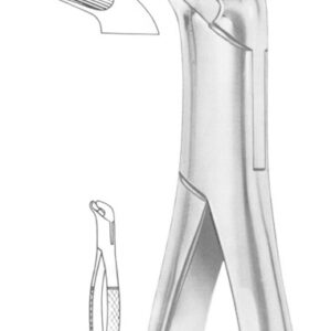 Fig. 17 lower molars