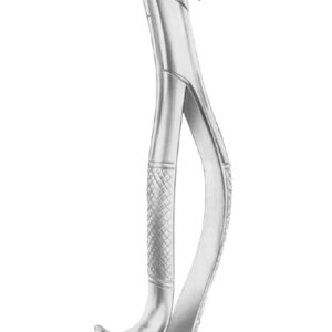 Fig. 20R upper molars right