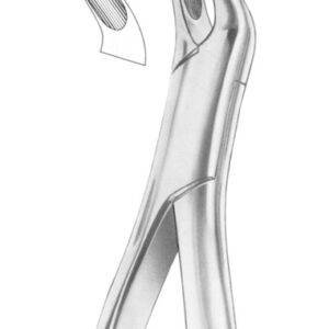 Fig. 20L upper molars left