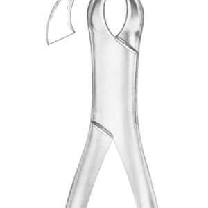 Fig. 23 lower molars
