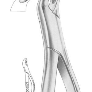 Fig. 24 upper molars