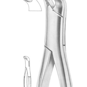 Fig. 27 lower molars