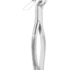 PARMLY Fig. 32 upper premolars and molars