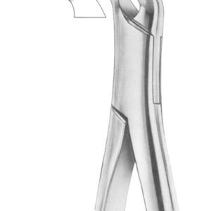 Fig. 34 lower anteriors and roots