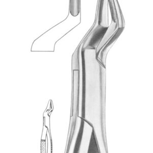 Fig. 35 upper roots