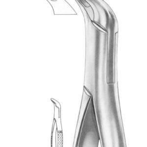 Fig. 36 lower anteriors and roots
