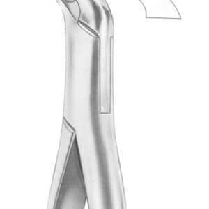 Fig. 37 lower anteriors and roots
