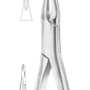 Fig. 38 upper anteriors and roots