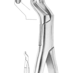Fig. 53L upper molars left
