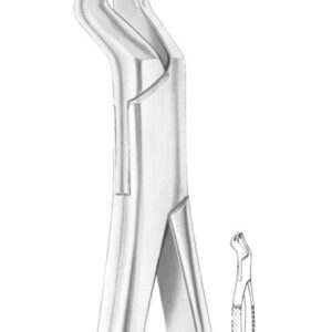 NEVIUS Fig. 88R upper molars right
