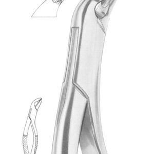 THOMAS Fig. 85A lower canines, premolars and molars