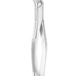 NEVIUS Fig. 88L upper molars left