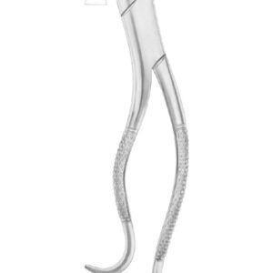 KELLS Fig. 99A upper incisors, canines, premolars