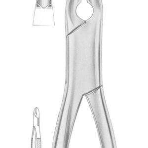 KELLS Fig. 99C upper incisors, canines, premolars