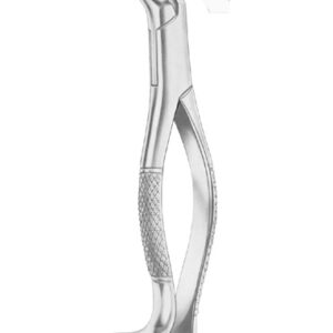 Fig. 210H upper third molars