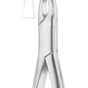 Fig. 213 upper centrals and canines