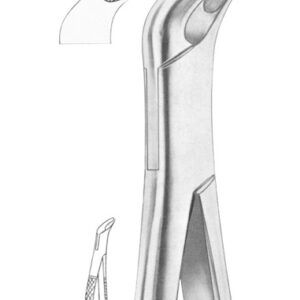 Fig. 217 lower molars