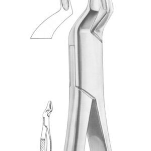 Fig. 286 upper incisors and roots