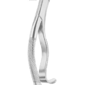 Fig. 288 lower canines and premolars