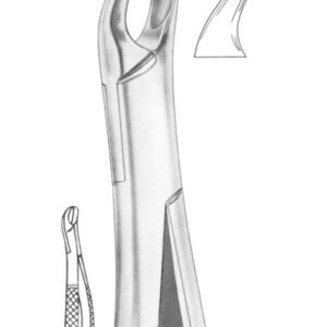 Fig. 340/89 upper molars right