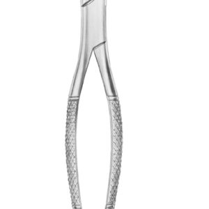 Fig. 350/23S lower molars