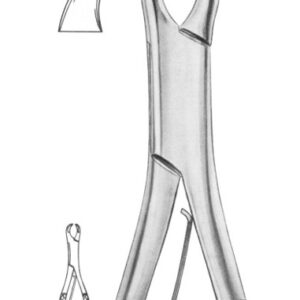 Fig. 355/23SK lower molars