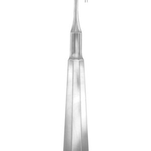 HEIDBRINK Fig. 1