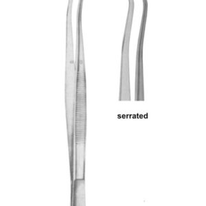 COLLEGE 15 cm